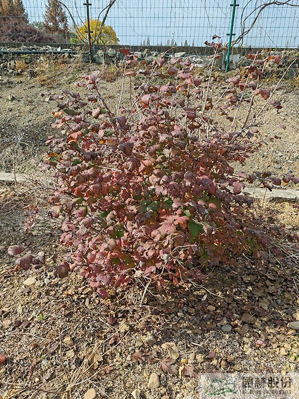 彩运网(中国游)官方网站