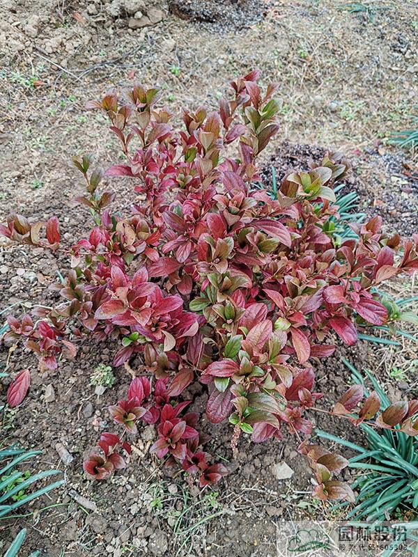 彩运网(中国游)官方网站