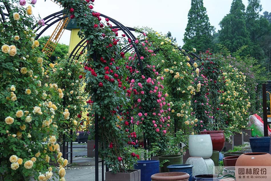 彩运网(中国游)官方网站