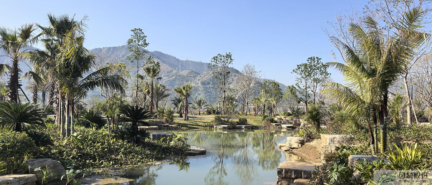 彩运网(中国游)官方网站