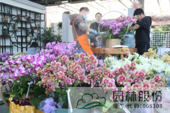 彩运网(中国游)官方网站