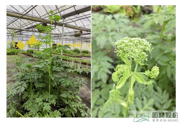 彩运网(中国游)官方网站