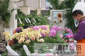 彩运网(中国游)官方网站