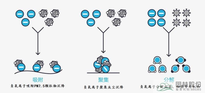 彩运网(中国游)官方网站