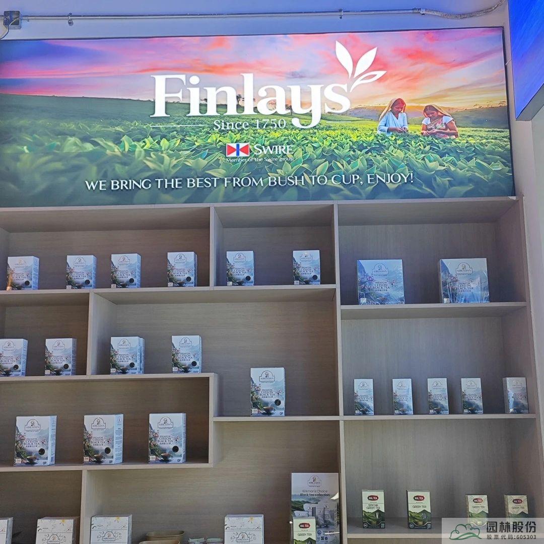 彩运网(中国游)官方网站