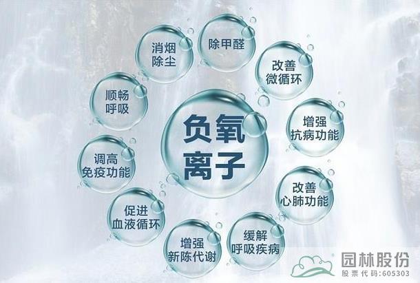 彩运网(中国游)官方网站