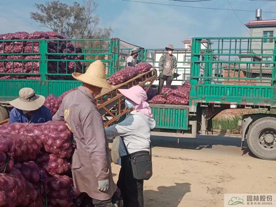 彩运网(中国游)官方网站