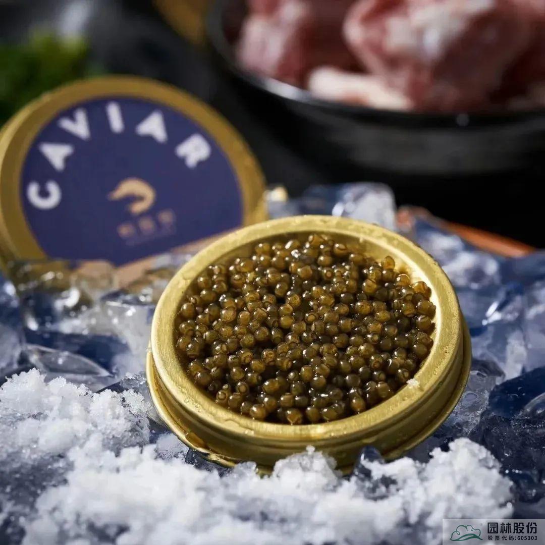 彩运网(中国游)官方网站