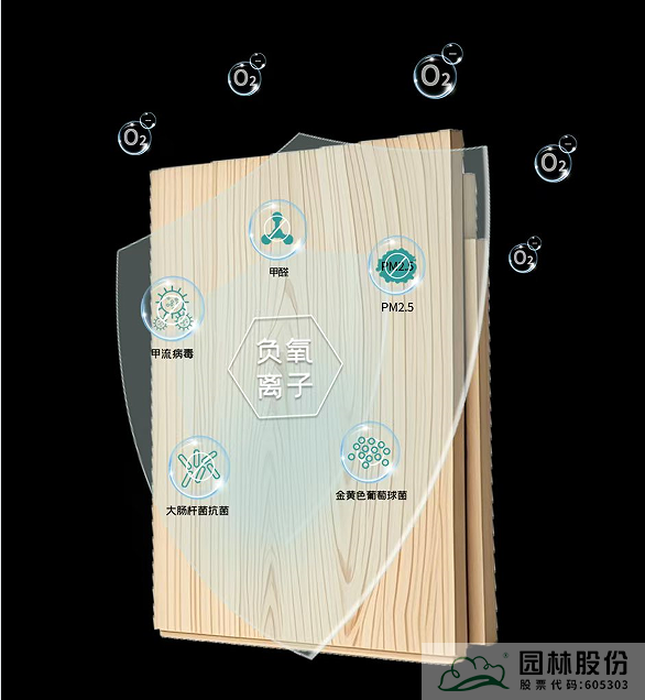 彩运网(中国游)官方网站