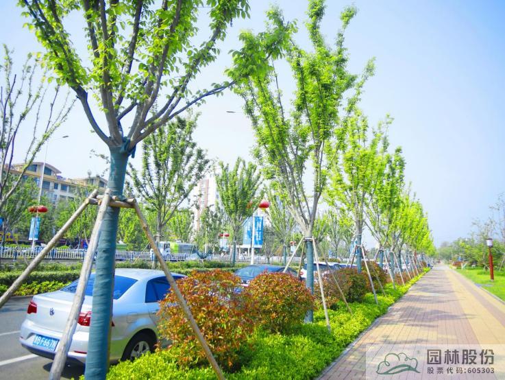 彩运网(中国游)官方网站