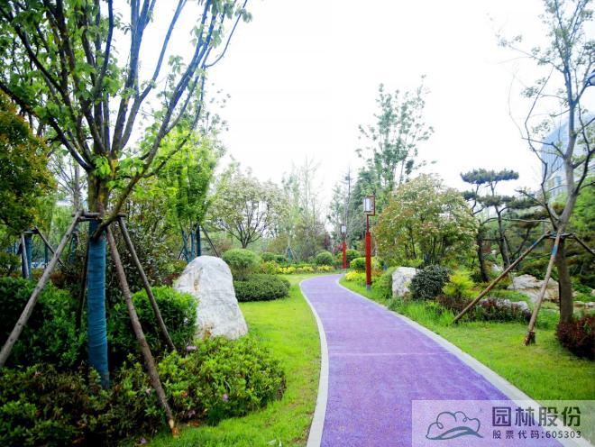 彩运网(中国游)官方网站