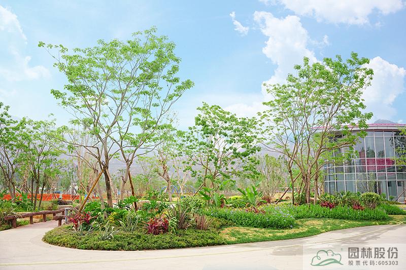 彩运网(中国游)官方网站