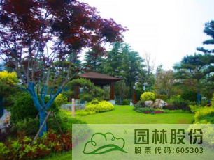 彩运网(中国游)官方网站