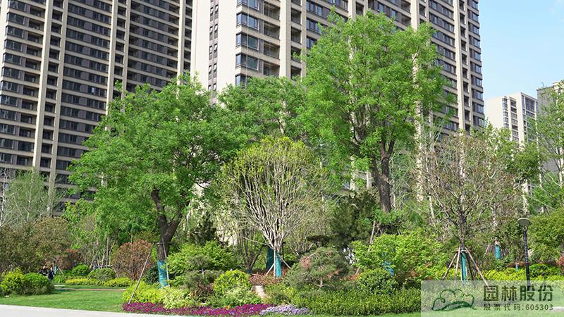 彩运网(中国游)官方网站