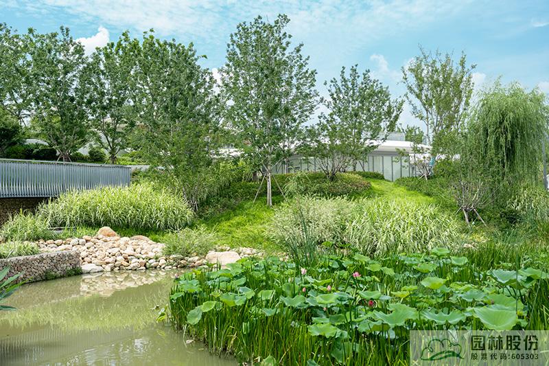 彩运网(中国游)官方网站