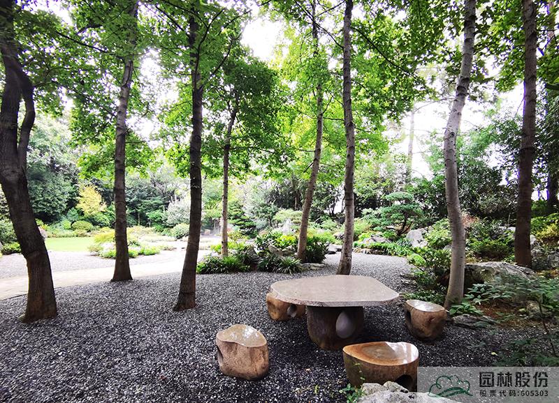 彩运网(中国游)官方网站