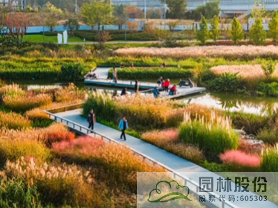 彩运网(中国游)官方网站