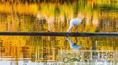 彩运网(中国游)官方网站