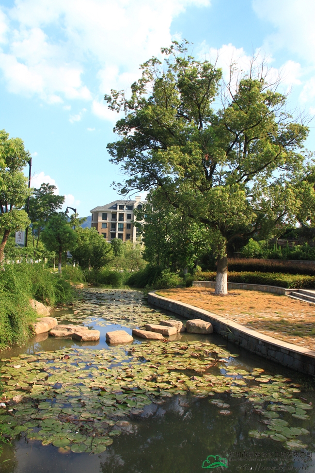 彩运网(中国游)官方网站