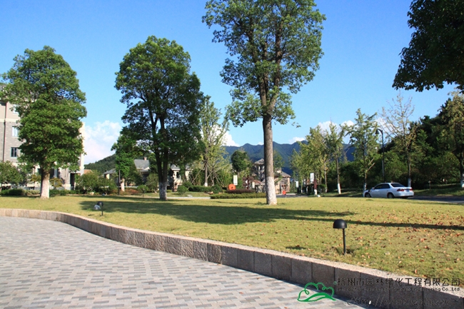 彩运网(中国游)官方网站