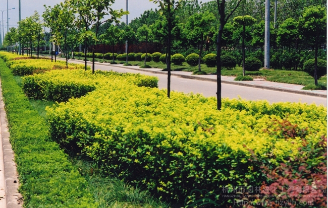 彩运网(中国游)官方网站