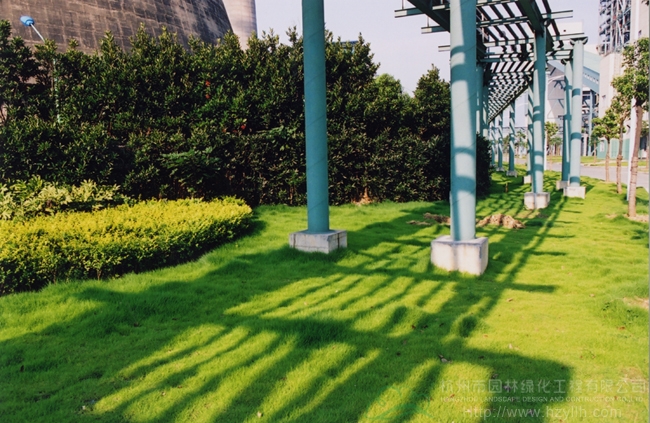 彩运网(中国游)官方网站