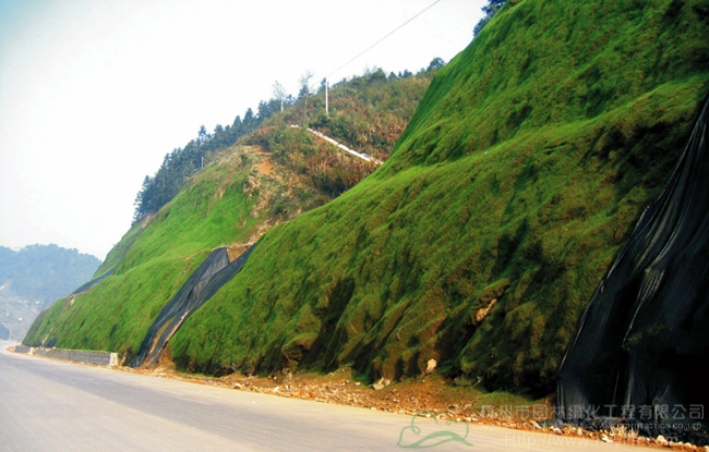 彩运网(中国游)官方网站