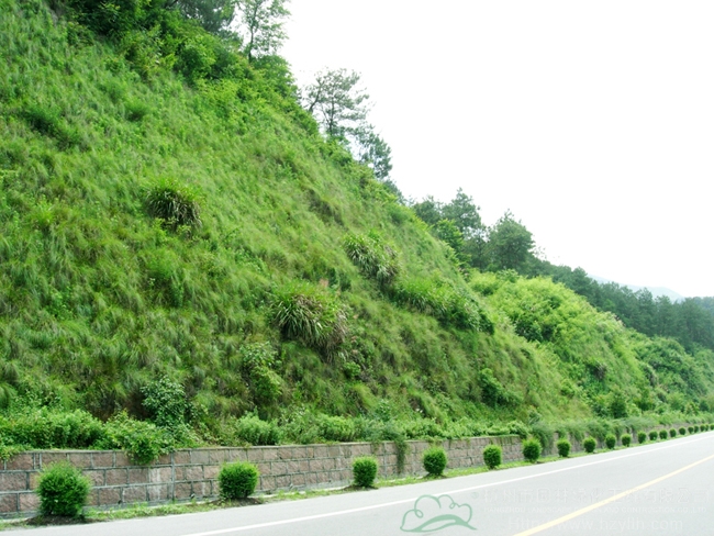 彩运网(中国游)官方网站