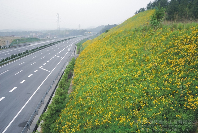 彩运网(中国游)官方网站