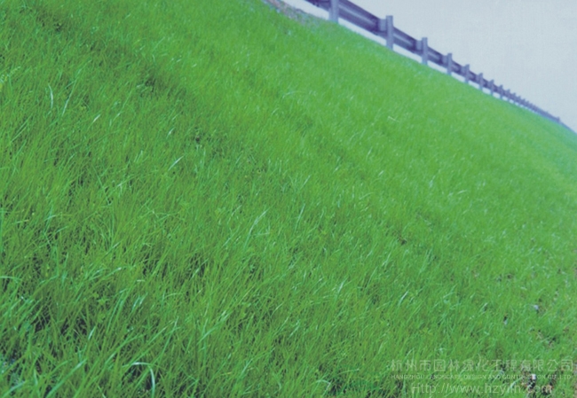 彩运网(中国游)官方网站