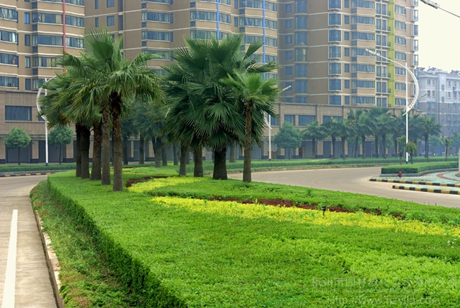 彩运网(中国游)官方网站