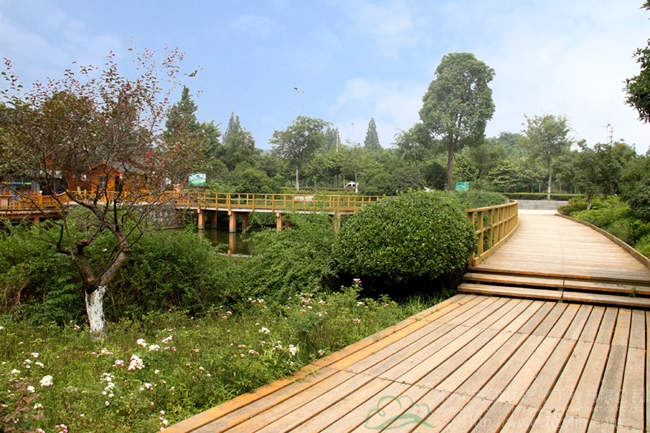 彩运网(中国游)官方网站