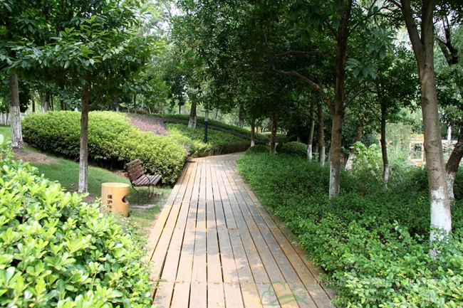 彩运网(中国游)官方网站