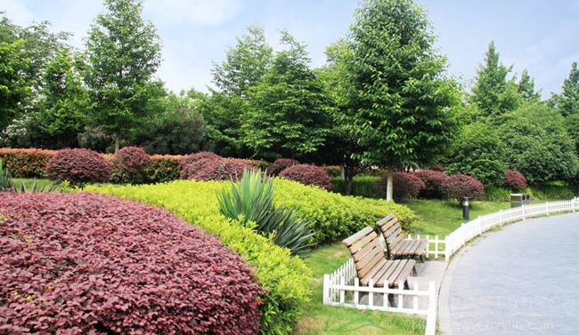 彩运网(中国游)官方网站