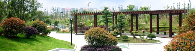 彩运网(中国游)官方网站