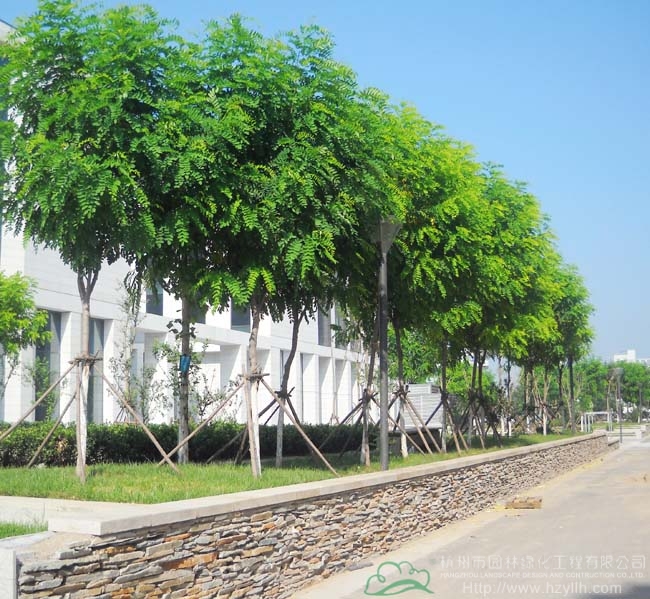 彩运网(中国游)官方网站