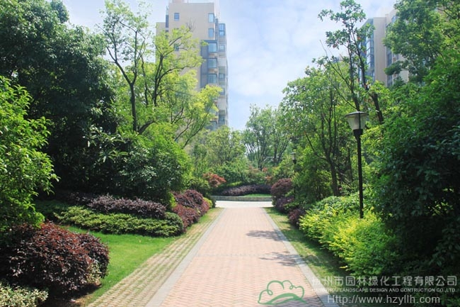 彩运网(中国游)官方网站