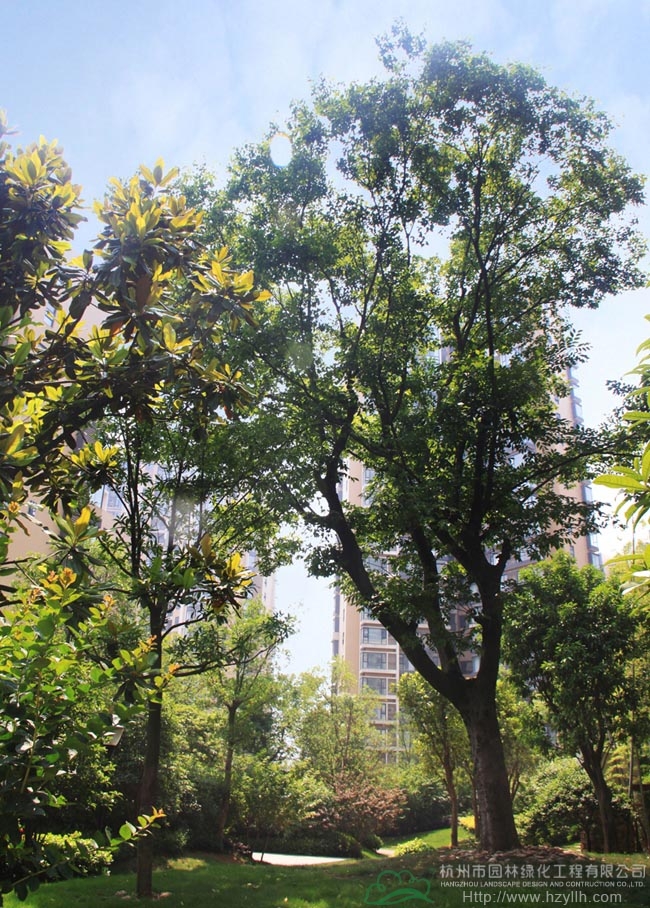 彩运网(中国游)官方网站