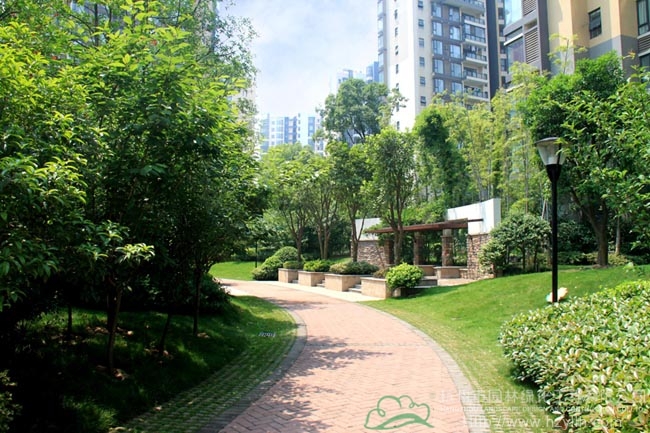 彩运网(中国游)官方网站