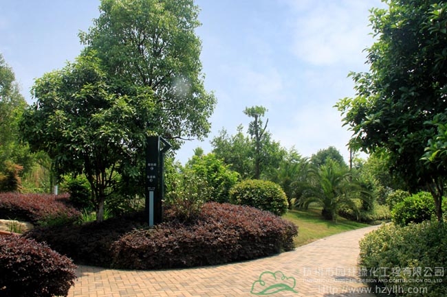 彩运网(中国游)官方网站