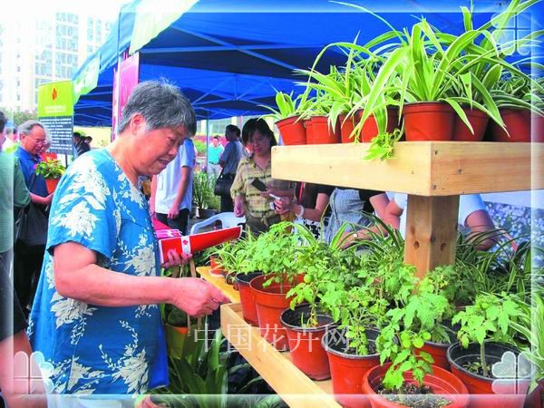 彩运网(中国游)官方网站