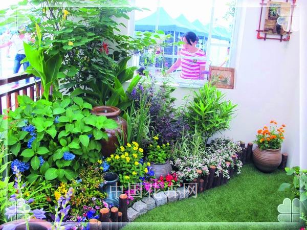 彩运网(中国游)官方网站