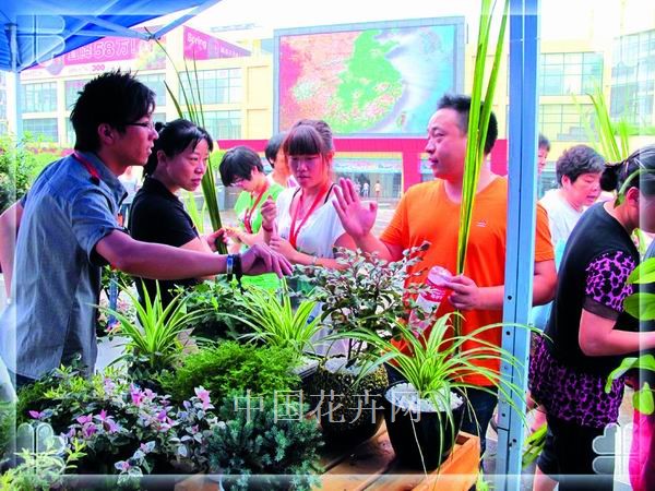 彩运网(中国游)官方网站