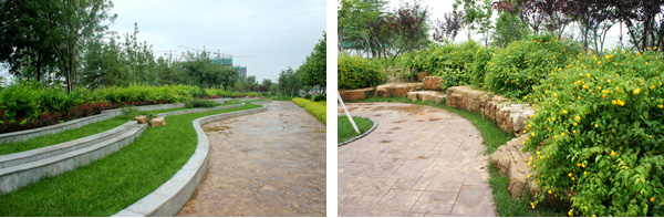 彩运网(中国游)官方网站