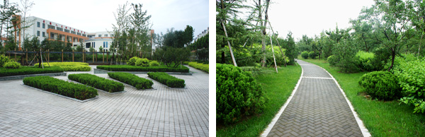 彩运网(中国游)官方网站