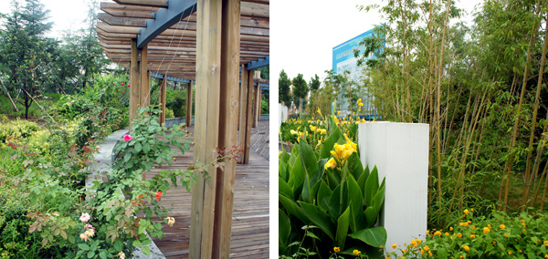 彩运网(中国游)官方网站