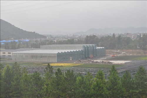 彩运网(中国游)官方网站