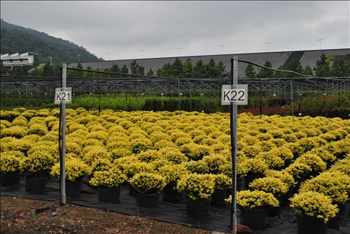 彩运网(中国游)官方网站