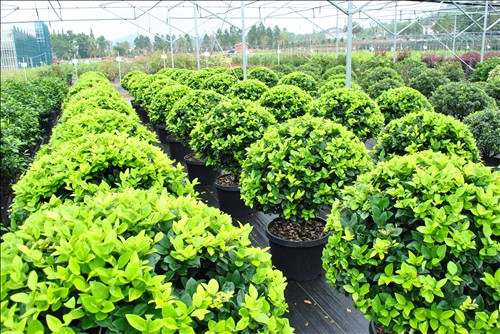 彩运网(中国游)官方网站