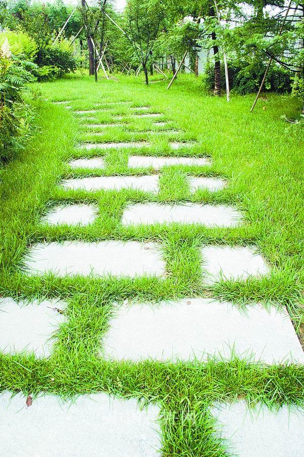 彩运网(中国游)官方网站